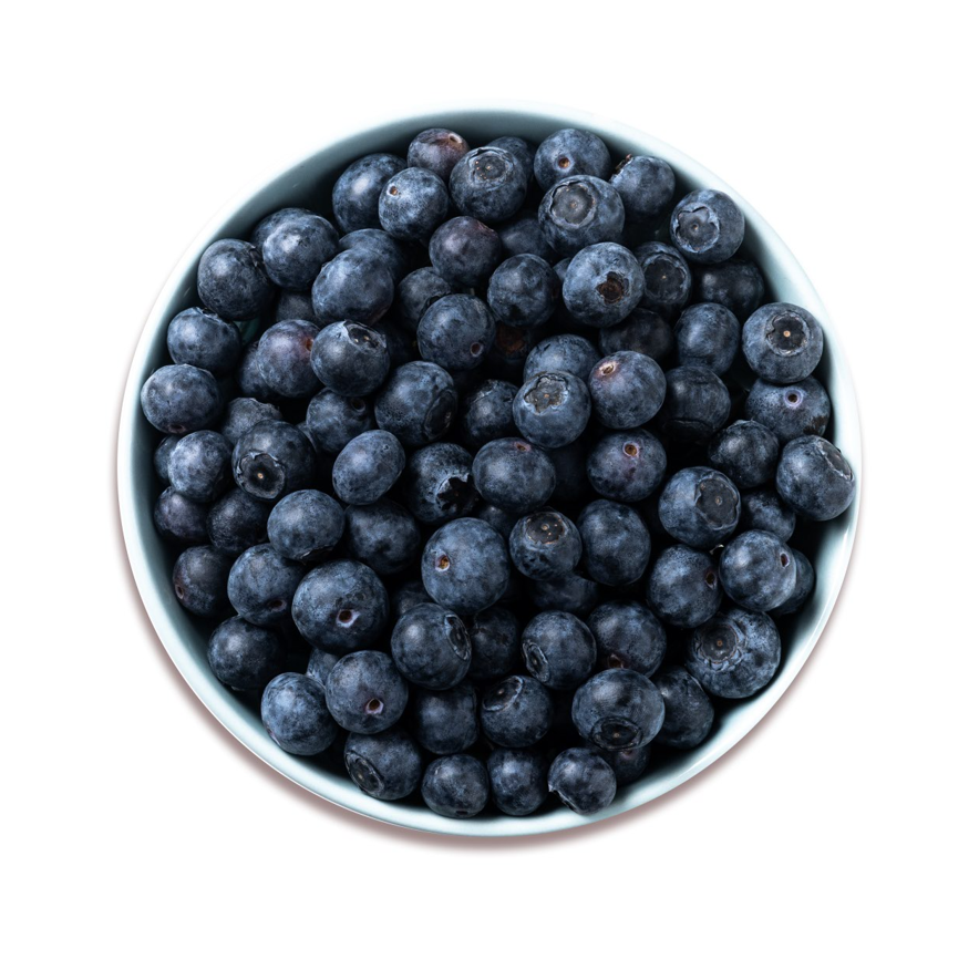 Blueberry – icepac-pk